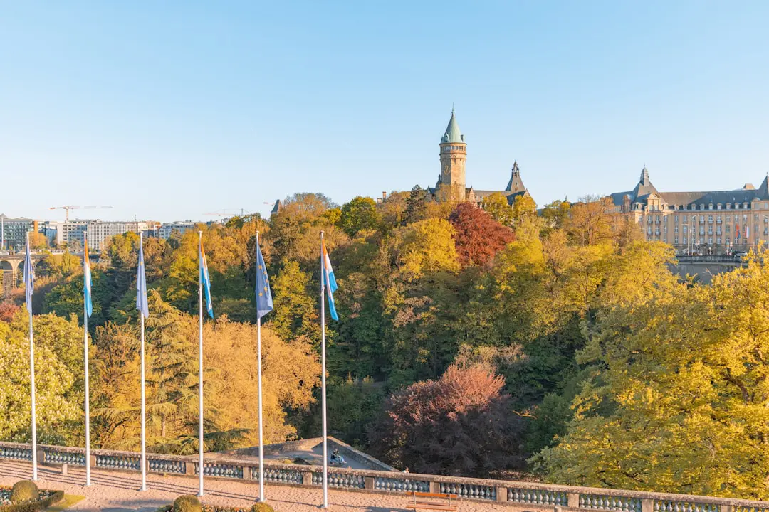 Autumn trees with flags in front of a building